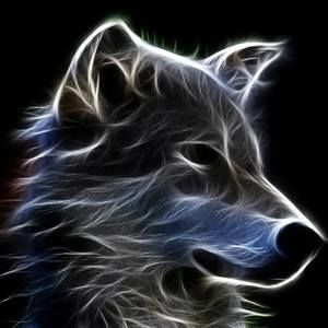 Meet your Posher, Jose